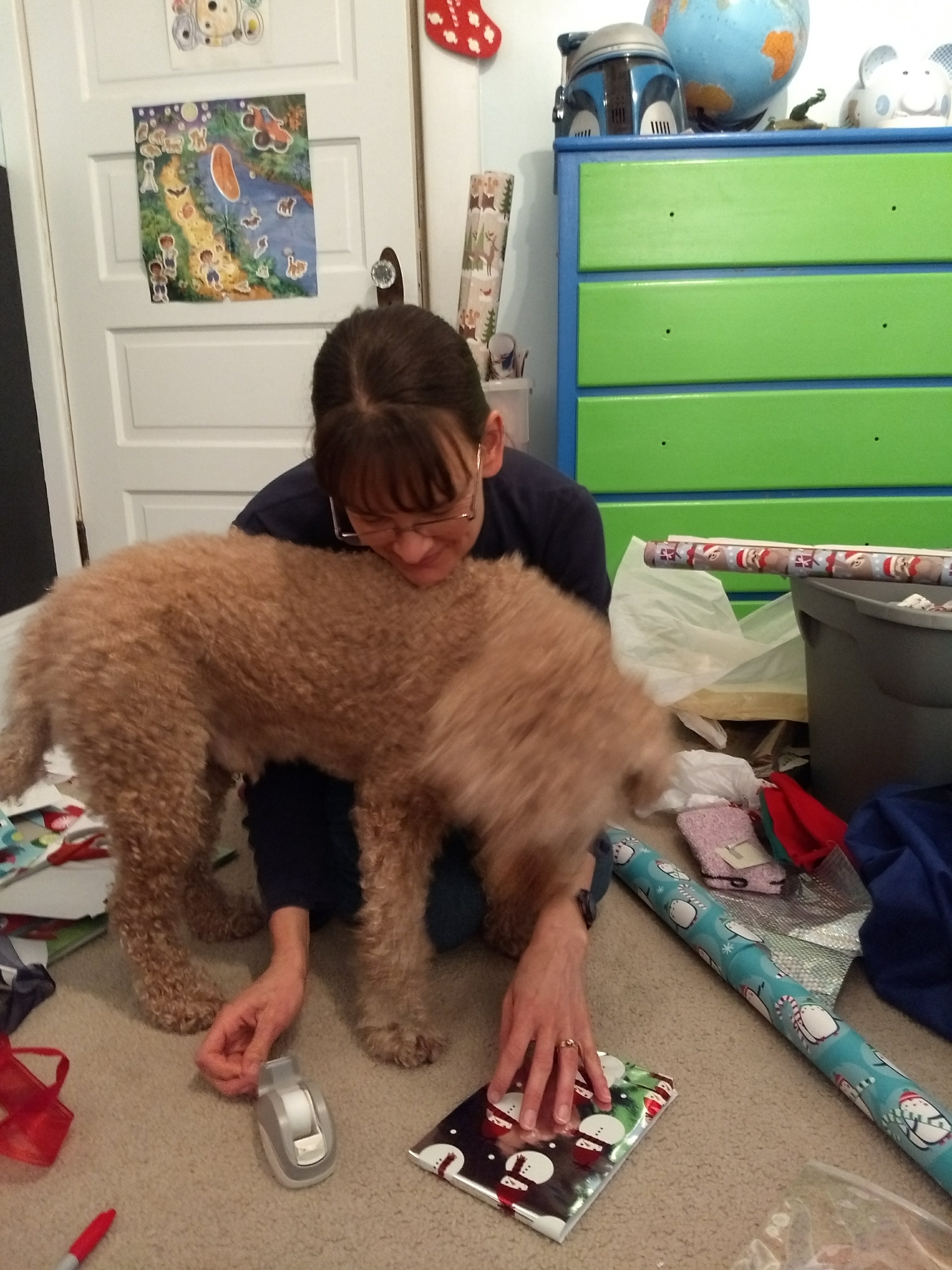 Dog helps wrapping presents