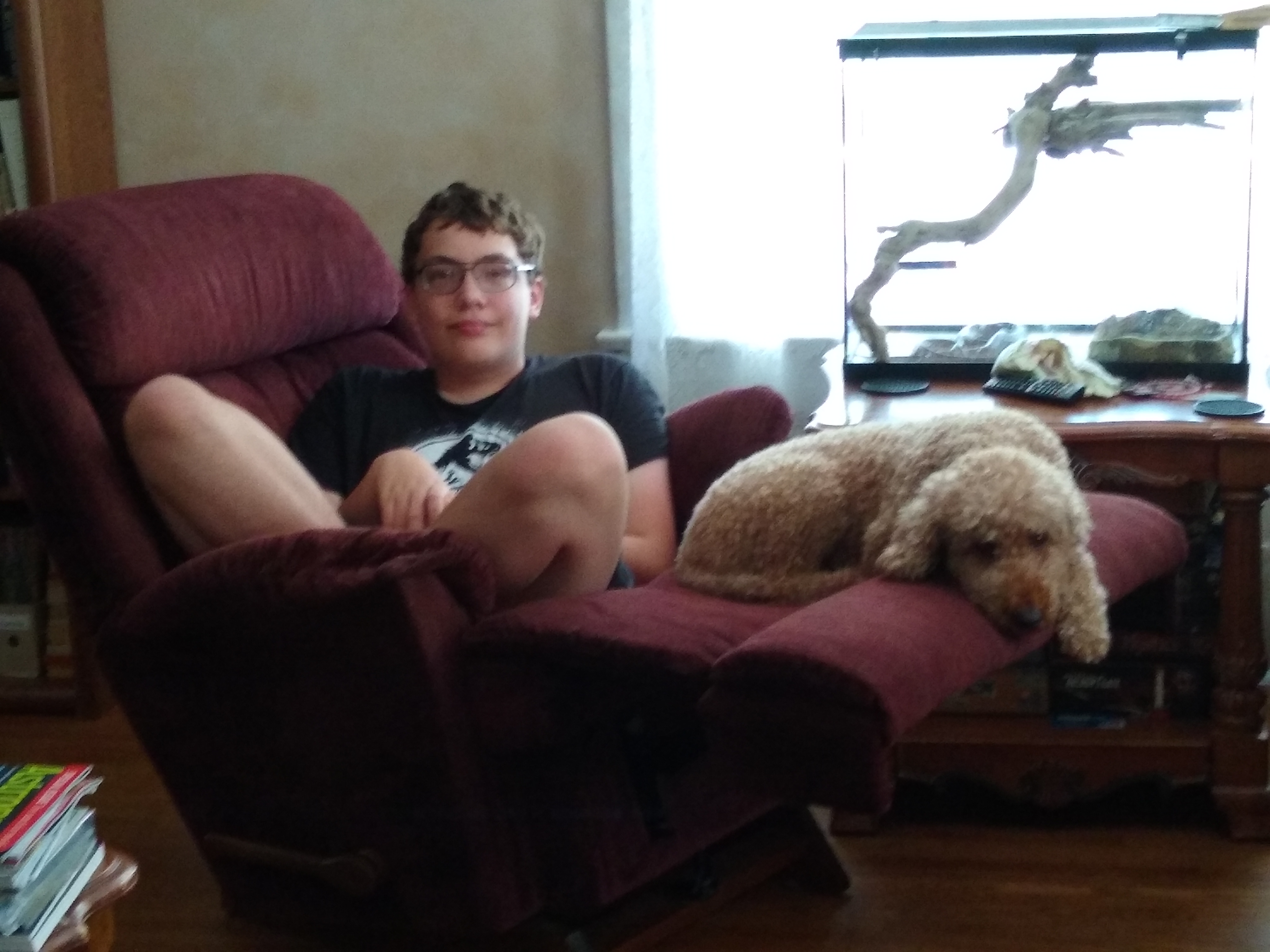 Dog and kid on recliner